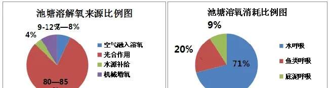 六月份多雨天鱼儿不吃食？别忘了保溶氧、跟营养！