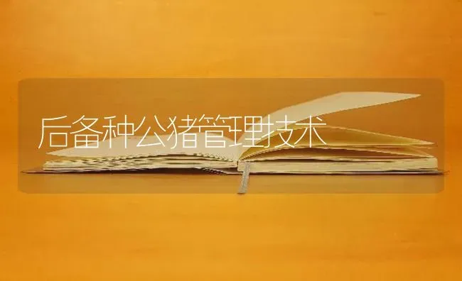 后备种公猪管理技术 | 家畜养殖