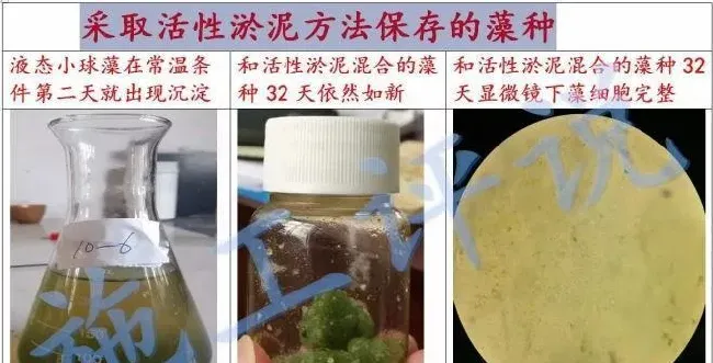 环境在不断变化，水产养殖方法也要随之而创新