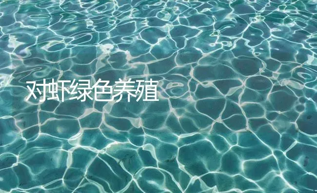 对虾绿色养殖 | 海水养殖