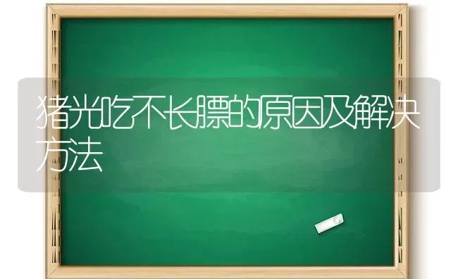 猪光吃不长膘的原因及解决方法 | 家畜养殖