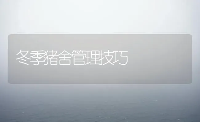 冬季猪舍管理技巧 | 家畜养殖