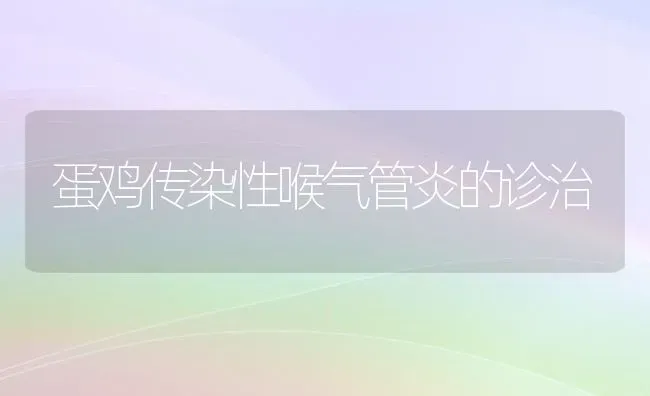 蛋鸡传染性喉气管炎的诊治 | 家禽养殖