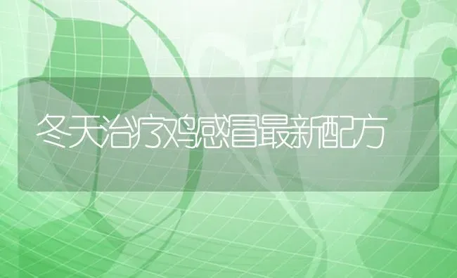 鱼塘套箱养鳝 亩增利润500元 | 淡水养殖