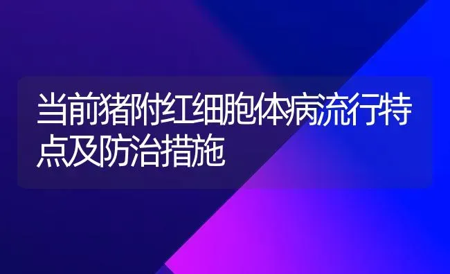 当前猪附红细胞体病流行特点及防治措施 | 家畜养殖