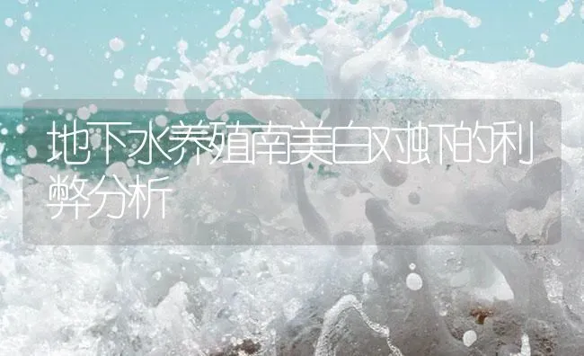 地下水养殖南美白对虾的利弊分析 | 海水养殖