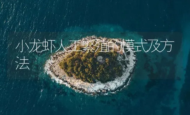 小龙虾人工繁殖的模式及方法 | 海水养殖