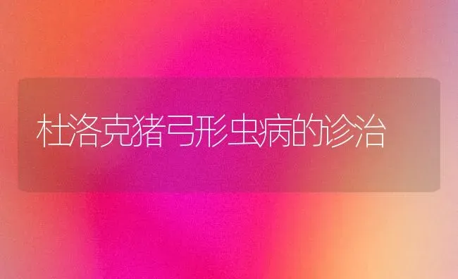 杜洛克猪弓形虫病的诊治 | 家畜养殖