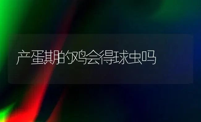 产蛋期的鸡会得球虫吗 | 家禽养殖