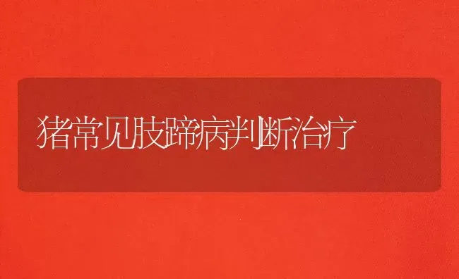 猪常见肢蹄病判断治疗 | 家畜养殖