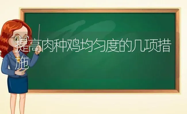 提高肉种鸡均匀度的几项措施 | 家禽养殖
