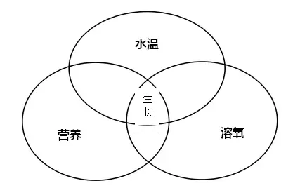 六月份多雨天鱼儿不吃食？别忘了保溶氧、跟营养！