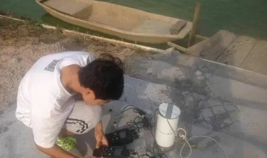 揭秘广东江门大鳌南美白对虾养殖亩利润超万元的成功秘诀