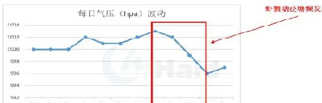 高温天你在家吹空调，小龙虾河蟹要去哪里凉快呢？