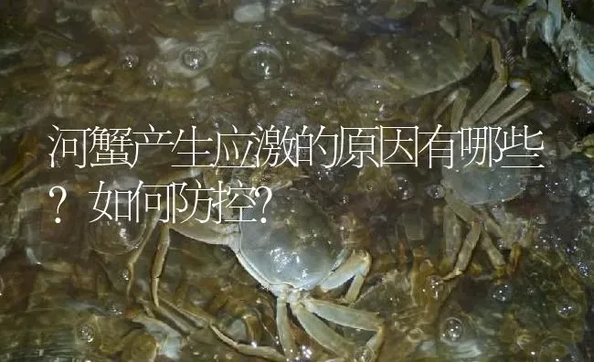 河蟹产生应激的原因有哪些？如何防控？ | 淡水养殖