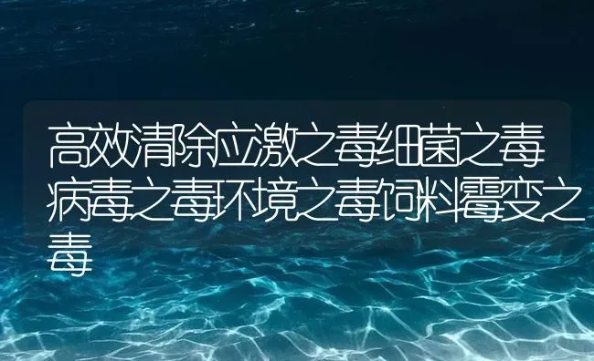 高效清除应激之毒细菌之毒病毒之毒环境之毒饲料霉变之毒 | 养殖病虫害防治