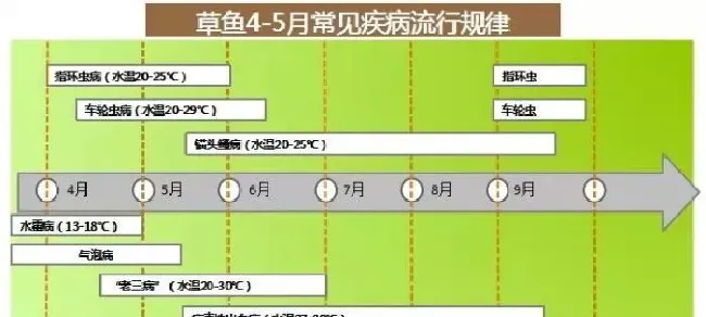 几种浮头案例带来的养殖池塘诊断新启示