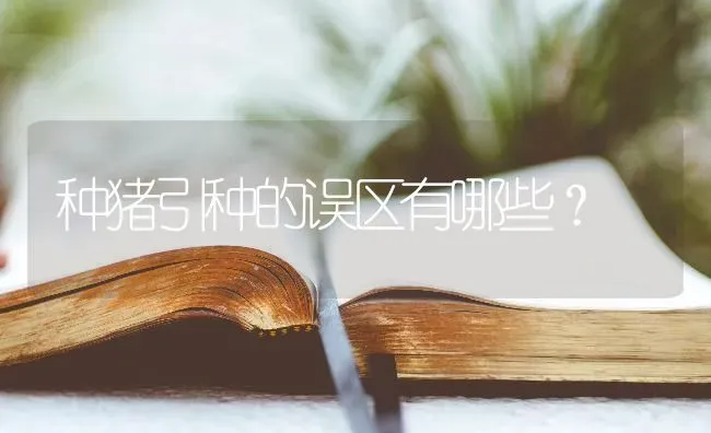 种猪引种的误区有哪些？ | 家畜养殖