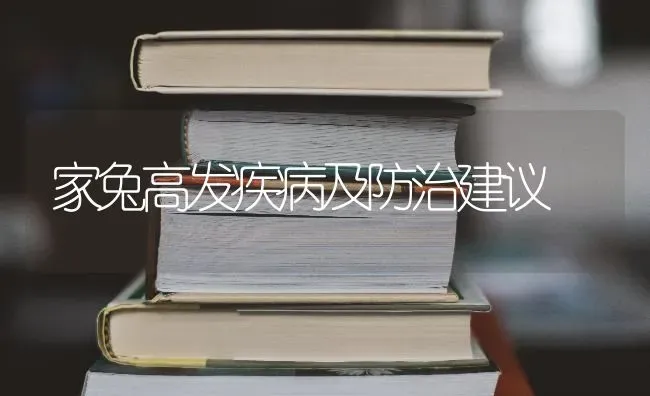 家兔高发疾病及防治建议 | 家畜养殖