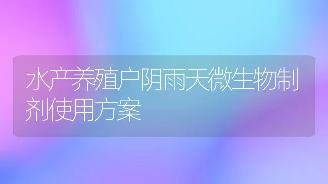 水产养殖户阴雨天微生物制剂使用方案 | 动物养殖百科