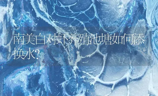 南美白对虾养殖池塘如何添换水？ | 海水养殖