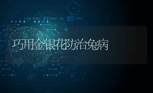 巧用金银花防治兔病 | 家畜养殖