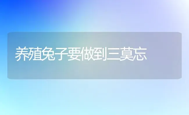 养殖兔子要做到三莫忘 | 家畜养殖