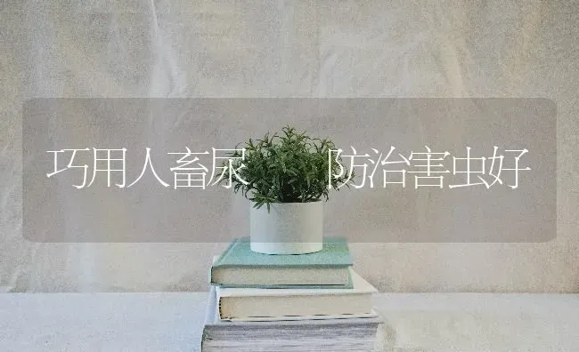 巧用人畜尿  防治害虫好 | 家畜养殖