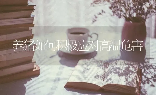 养猪如何积极应对高温危害 | 家畜养殖
