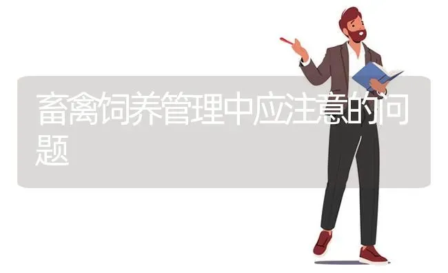 畜禽饲养管理中应注意的问题 | 家禽养殖