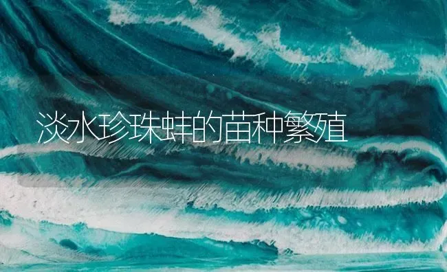 淡水珍珠蚌的苗种繁殖 | 淡水养殖