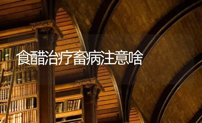 食醋治疗畜病注意啥 | 家畜养殖