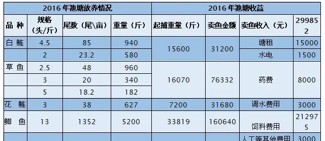 淡水养殖模式至关重要！模式设计对了，养殖就已成功了一半