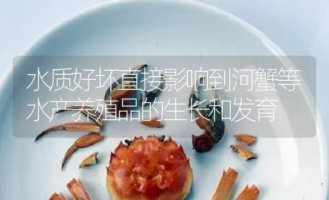水质好坏直接影响到河蟹等水产养殖品的生长和发育 | 淡水养殖