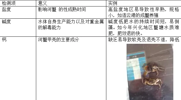 你的蟹塘是否具备养出大规格河蟹的条件？
