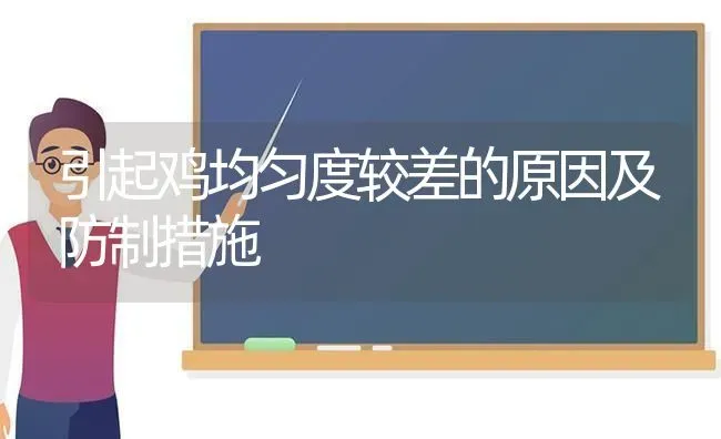 引起鸡均匀度较差的原因及防制措施 | 家禽养殖