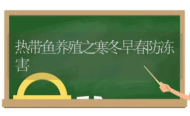 热带鱼养殖之寒冬早春防冻害 | 动物养殖百科