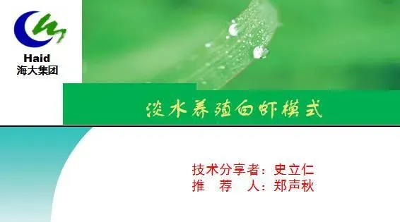 海南琼海市长坡镇文子村南美白对虾淡水养殖模式