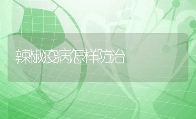 猪霉菌毒素中毒的综合防控 | 家畜养殖