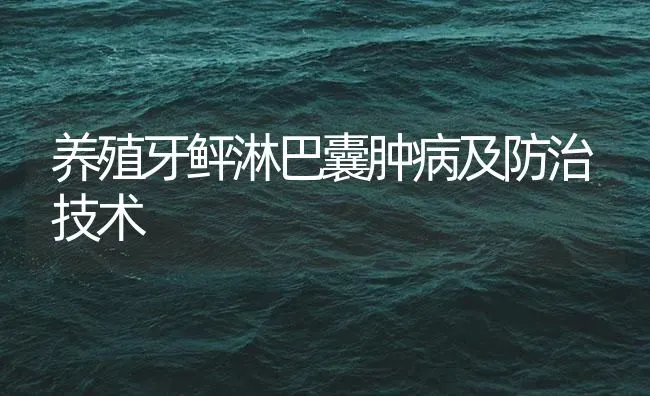 养殖牙鲆淋巴囊肿病及防治技术 | 海水养殖