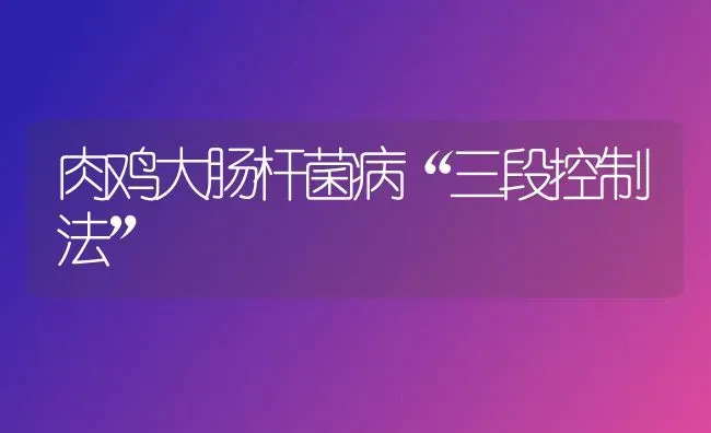 肉鸡大肠杆菌病“三段控制法” | 家禽养殖