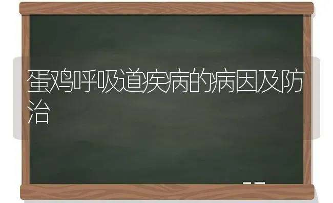 蛋鸡呼吸道疾病的病因及防治 | 家禽养殖