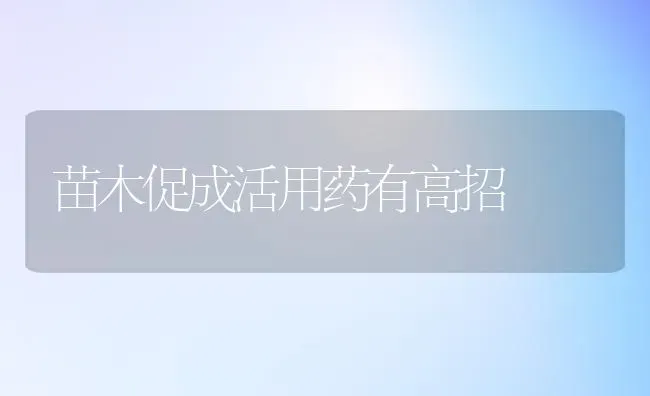 饲养小尾寒羊十忌 | 家畜养殖