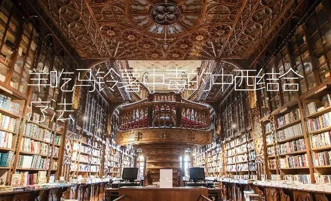 羊吃马铃薯中毒的中西结合疗法 | 家畜养殖