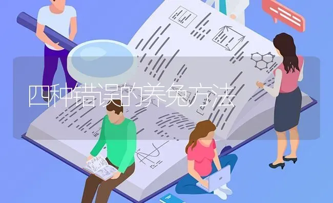 四种错误的养兔方法 | 家畜养殖