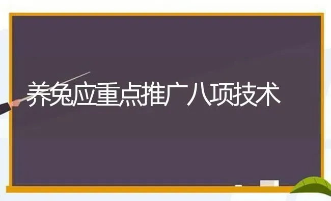 养兔应重点推广八项技术 | 家畜养殖