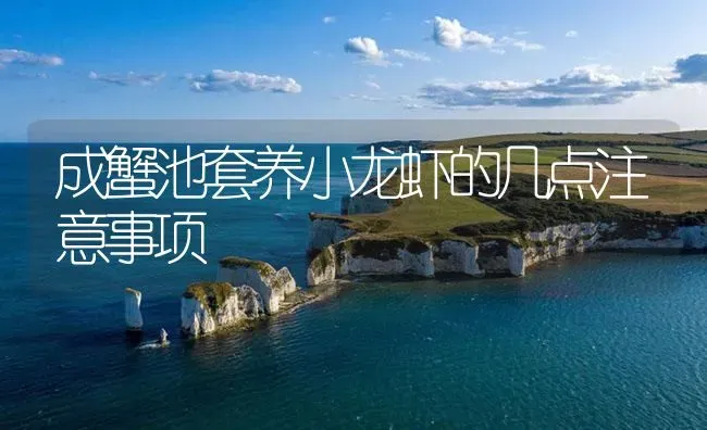 成蟹池套养小龙虾的几点注意事项 | 海水养殖