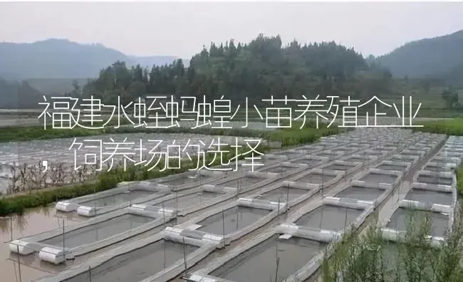 福建水蛭蚂蝗小苗养殖企业，饲养场的选择 | 特种养殖