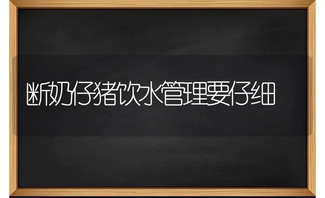 断奶仔猪饮水管理要仔细 | 家畜养殖