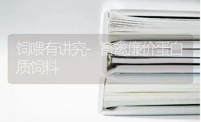 饲喂有讲究-畜禽廉价蛋白质饲料 | 动物养殖饲料